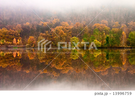 Autumn landscape of river with bright trees and bushes Autumn landscape of river with bright trees and bushes 13996759