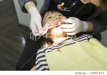 歯のクリーニング 13997470