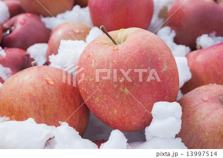 雪室りんご 13997514
