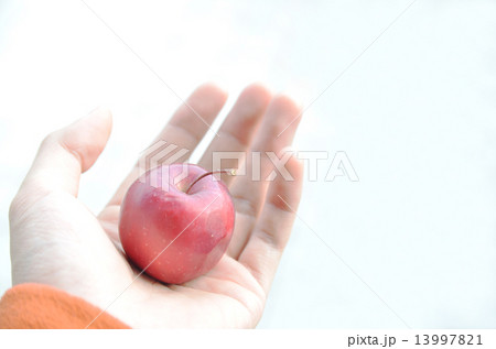 手のひらにりんご1 手のひらにりんご1 13997821