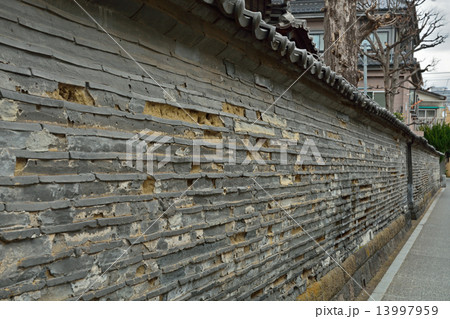 谷根千散歩・観音寺の築地塀 13997959