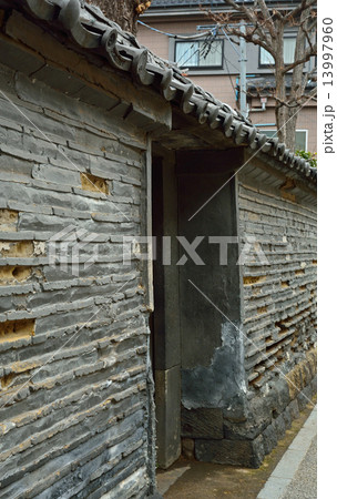 谷根千散歩・観音寺の築地塀 谷根千散歩・観音寺の築地塀 13997960