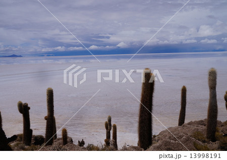 ウユニ塩湖のインカワシから見た塩原 13998191