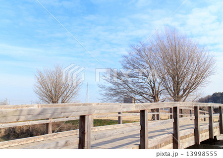 見沼田んぼの風景 芝川 見沼田んぼの風景 芝川 13998555