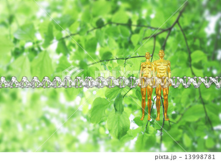 人類の遺伝子配列のイメージ 13998781