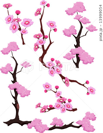 Cherry Blossoms Borders Dividers 13999054