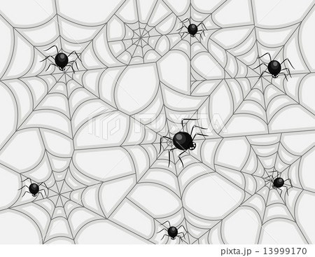 Spider Webs Spider Webs 13999170