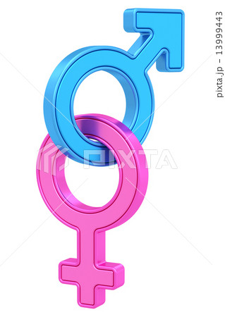 Male and female gender symbols chained together on white Male and female gender symbols chained together on white 13999443