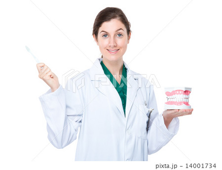 Dentist hold with denture and toothbrush Dentist hold with denture and toothbrush 14001734