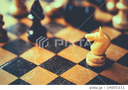Chess Knight And Bishop 14005331