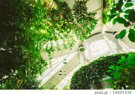 Greenhouse With Flowers. Temperate House Conservatory, Botanical Greenhouse With Flowers. Temperate House Conservatory, Botanical 14005336