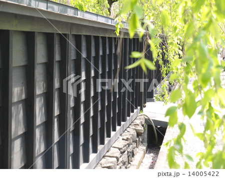 みちのく桜紀行　角館 14005422