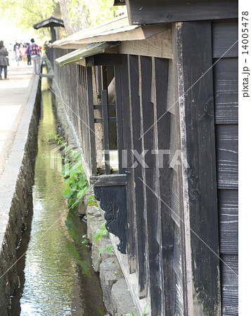 みちのく桜紀行　角館 14005478