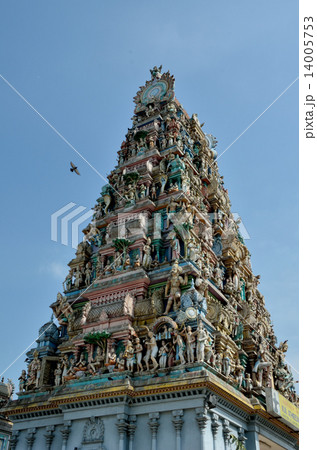 Hindu,Temple,Devotee 14005753