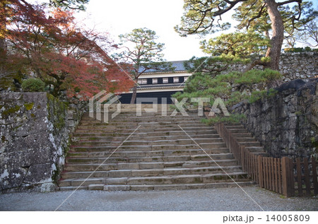 高知城　鉄門から見る詰門 14005809