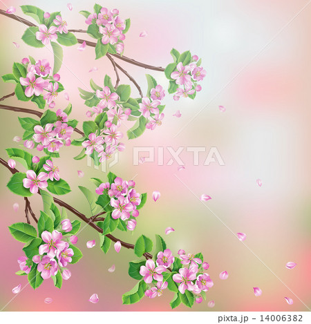 Spring background Spring background 14006382