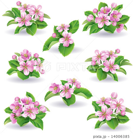 Floral set Floral set 14006385