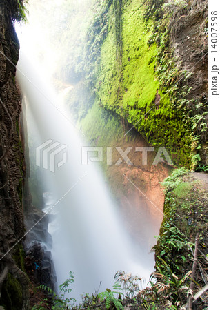 Blawan waterfall in forest, Java, Indonesia Blawan waterfall in forest, Java, Indonesia 14007598