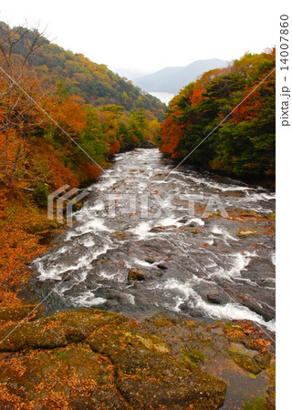 竜頭ノ橋から湯川･竜頭ノ滝方向を望む（栃木県日光市） 14007860