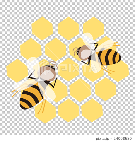 Two bees in the nest 14008680