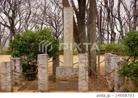 赤塚城本丸跡 赤塚城本丸跡 14008701