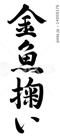 金魚掬い 14009376