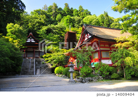 談山神社　神廟拝所　権殿　十三重塔　　 14009404