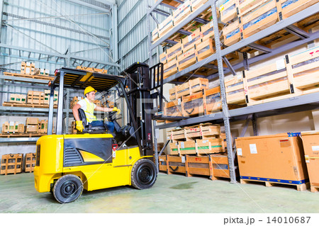 Asian fork lift truck driver lifting pallet in storage 14010687