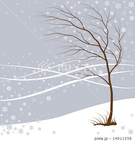winter comes winter comes 14011356