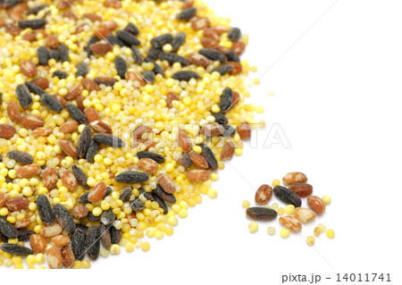 五穀米 五穀米 14011741