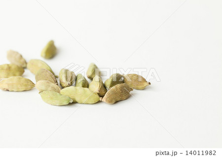 カルダモン 14011982