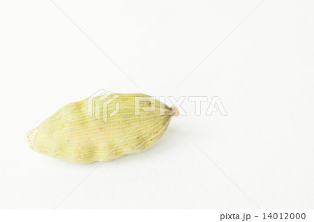 カルダモン 14012000