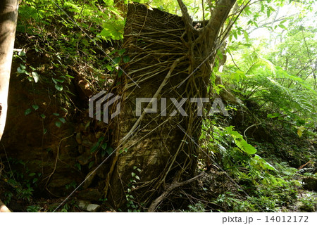 石垣島のモノリス 14012172