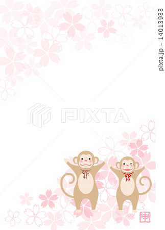 サルのカップルと桜 14013933