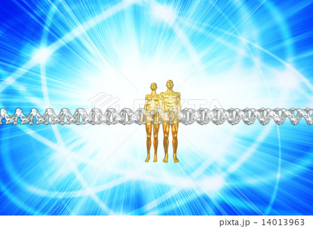 人類の遺伝子配列のイメージ 14013963