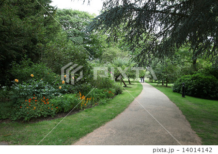 イギリス ガーデン イングリッシュガーデン ケンブリッジ 観光地 緑 道の写真素材