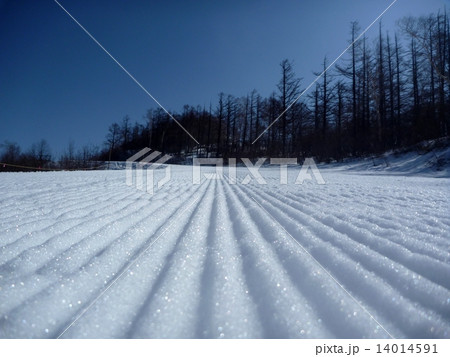 スキー場の圧雪痕 14014591