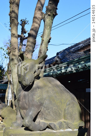撫牛の石像（牛嶋神社／東京都墨田区向島1-4-5） 14014635