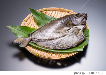 アイゴの干物の写真素材 アイゴの干物の写真素材