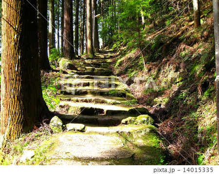 赤目四十八滝 赤目四十八滝 14015335