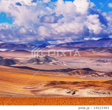 Northern Argentina 14015463