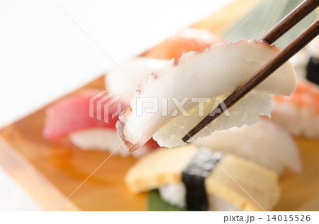 握り寿司　タコ 14015526