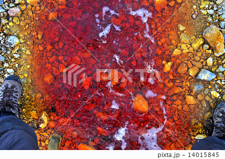 Red polluted water stream in Geamana, Romania 14015845