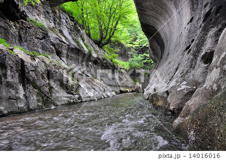 River passing through a wild gorge 14016016