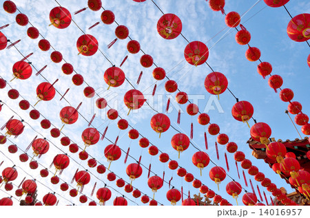 Chinese Lanterns Chinese Lanterns 14016957