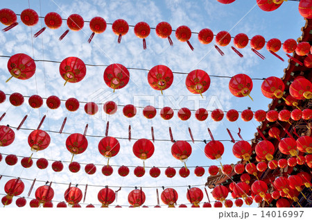 Chinese Lanterns Chinese Lanterns 14016997