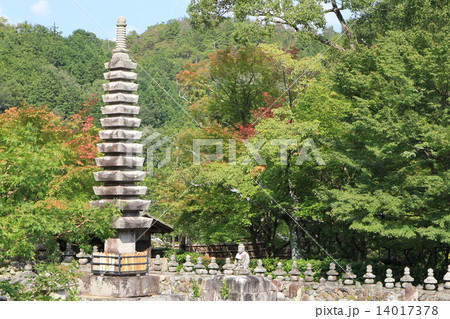 化野念仏寺 14017378