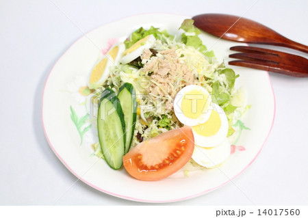 ツナサラダ ツナサラダ 14017560