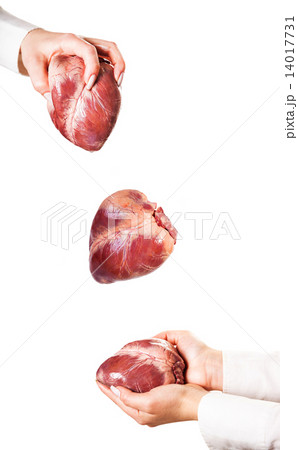 way of the heart 14017731