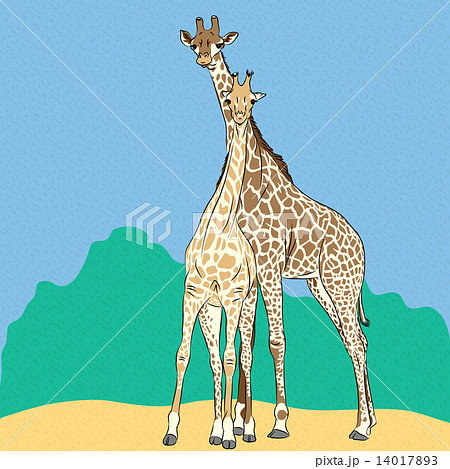 Vector Funny couple in love giraffes Vector Funny couple in love giraffes 14017893